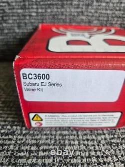 BC Racing Subaru Stainless Steel EJ Series Intake Valve Kit