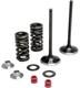 Kit De Soupapes D'échappement En Acier Inoxydable Moose Racing Pour Honda Crf 250 08-09 0926-2434